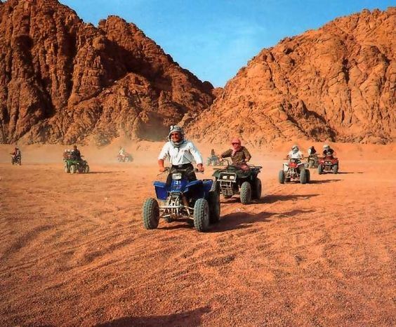 Safaris dans le désert