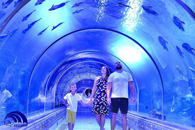 Hurghada Grand Aquarium1 1