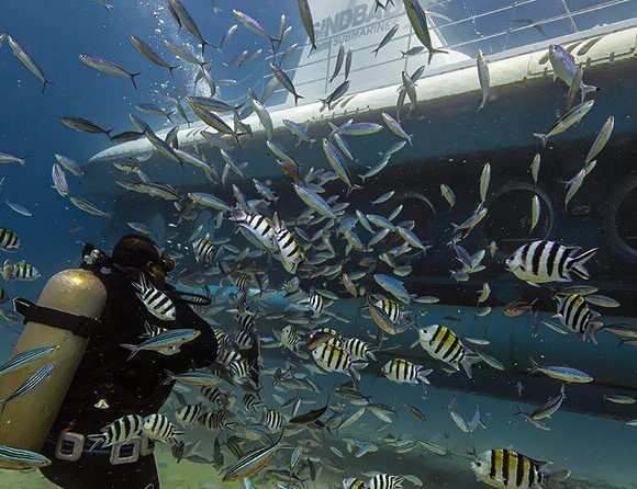 Why the Royal Seascope Submarine Hurghada Tour?