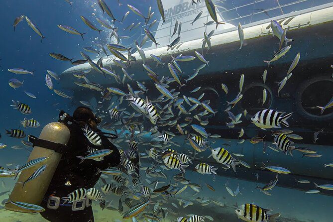 Red Sea Quest Sindbad Submarine Hurghada2024 12 09 at 4.30.59 PM 15