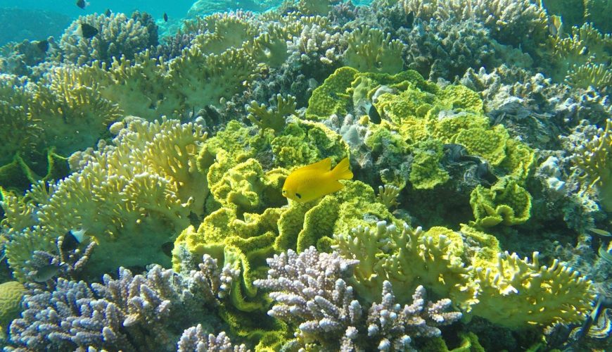 À la découverte de l'Égypte au-delà de la mer Rouge