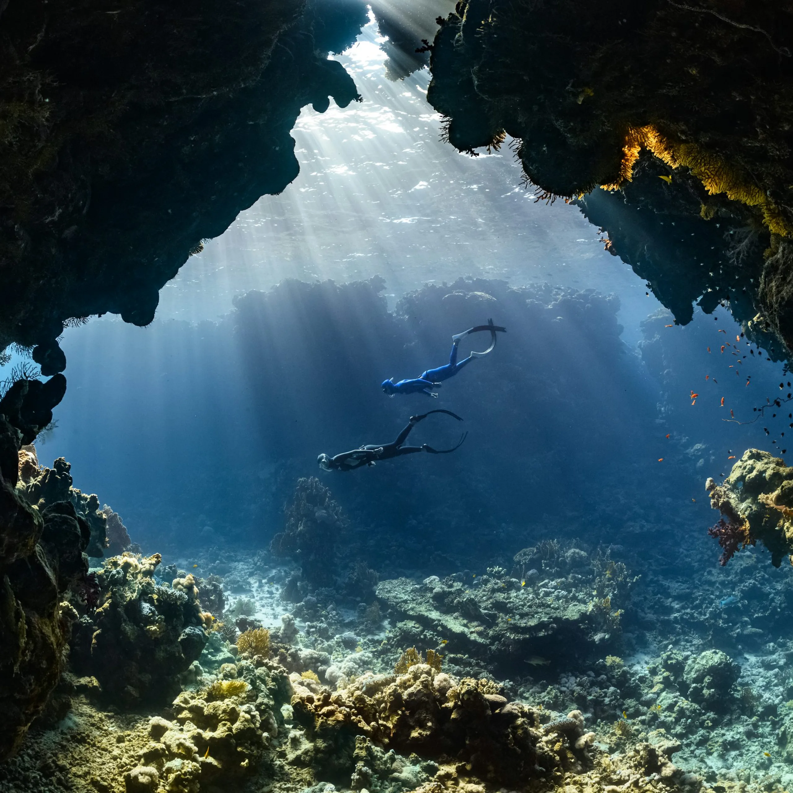 Expériences de luxe à la mer Rouge