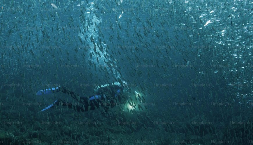 Luxuriöse Erlebnisse am Roten Meer