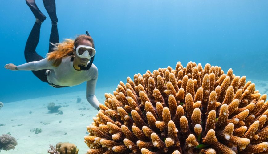 Plongée et exploration sous-marine