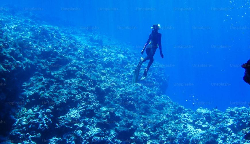 نصائح وإرشادات السفر