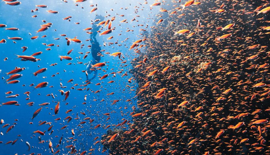 Esplorando l'Egitto oltre il Mar Rosso