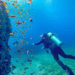 Scuba Diving Underwater30