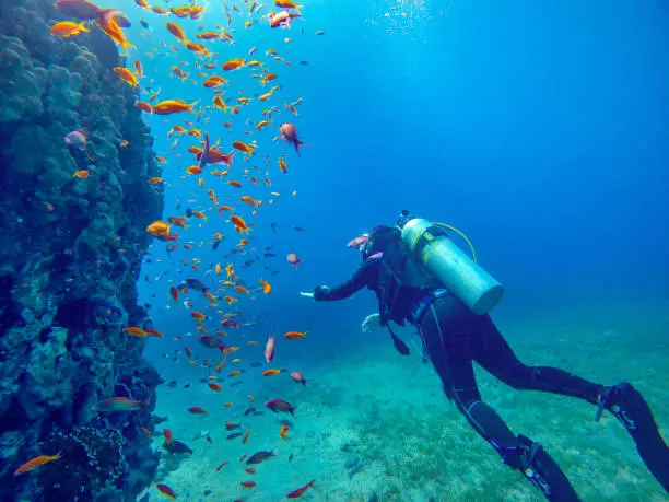 Best Red Sea Destinations 2025: Top Places & Activities