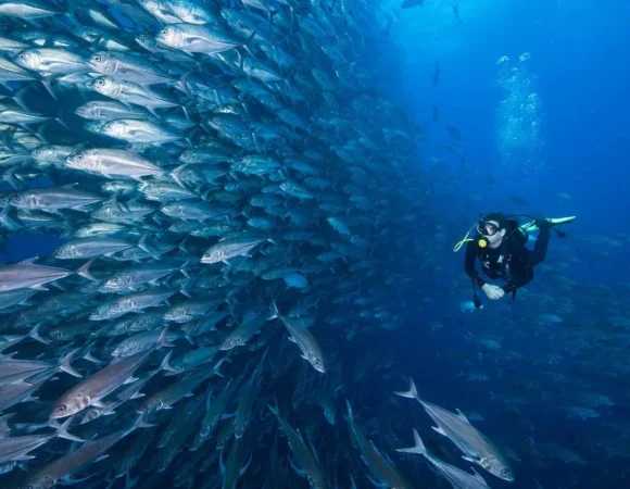 Uncover the Hidden Gems of the Red Sea: A Comprehensive Guide to the Best Snorkeling and Diving Spots in Hurghada