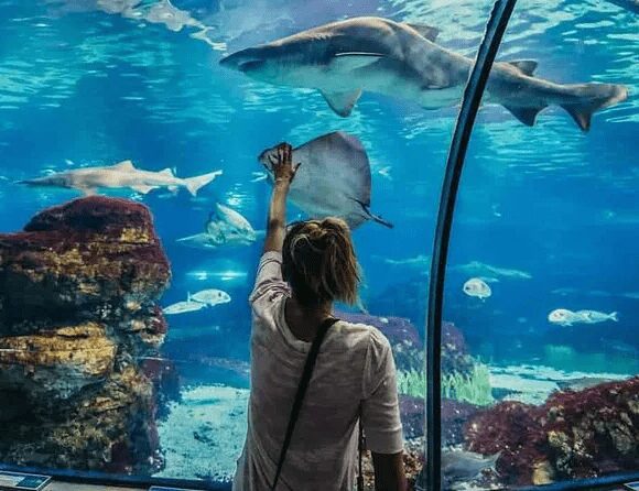 Red Sea Quest’s Family-Friendly Packages: Everything You Need to Know