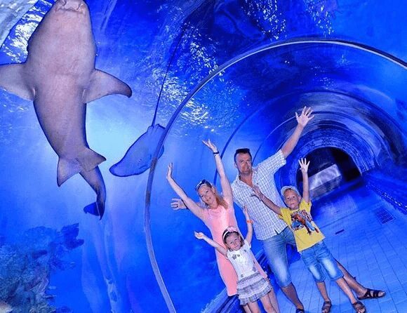 Discover the Best Family-Friendly Activities in Hurghada: Royal Seascope Submarine Guide