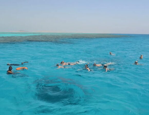 Why Submarine Tours Are the Perfect Red Sea Activity for Kids