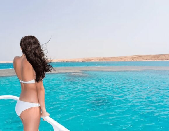 A Complete Guide to Red Sea Conservation: How Royal Seascope Contributes to Eco-Tourism