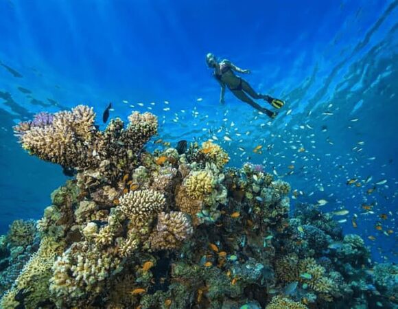 Behind the Scenes: How Red Sea Quest’s Submarine Tours Are Operated