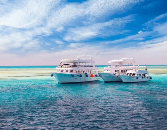 Exploring Hurghada’s Marine Life During Off-Season Months