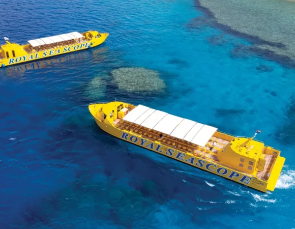 Royal Seascope vs. Traditional Diving: Discover the Best Way to Explore Hurghada’s Marine Life