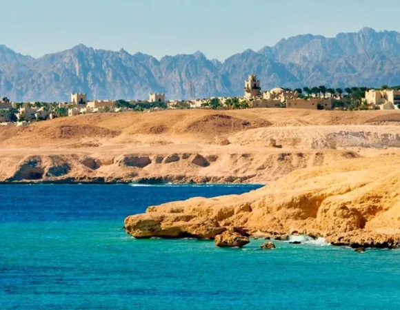 Top 5 Boat Tours in the Red Sea You Can’t Miss