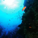 Dahab Touren Rotes Meer Ägypten1