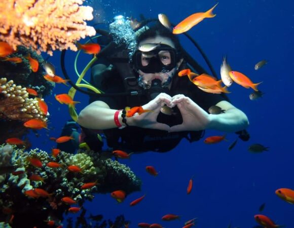 Private Desert & Sea Adventures A VIP Red Sea Experience