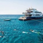 Diving With Boat Trip To Ras Mohamed And White Island Sharm El Sheikh09